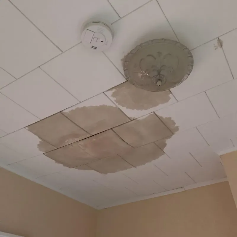 Ceiling Water Damage Repair in Brunswick, GA
