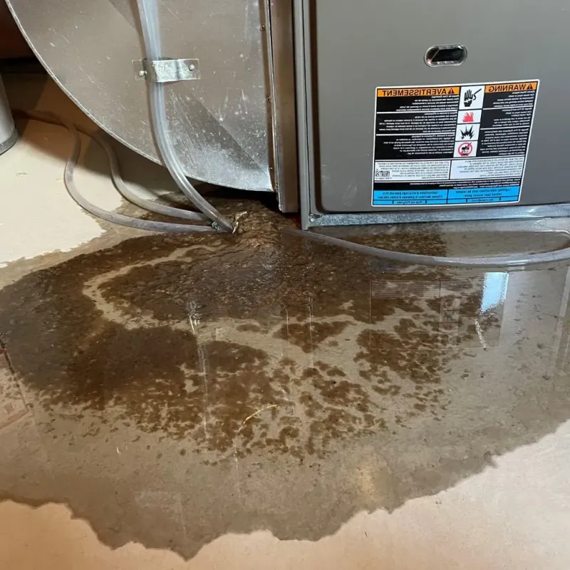 Pipe Burst and Leak Restoration in Brunswick, GA
